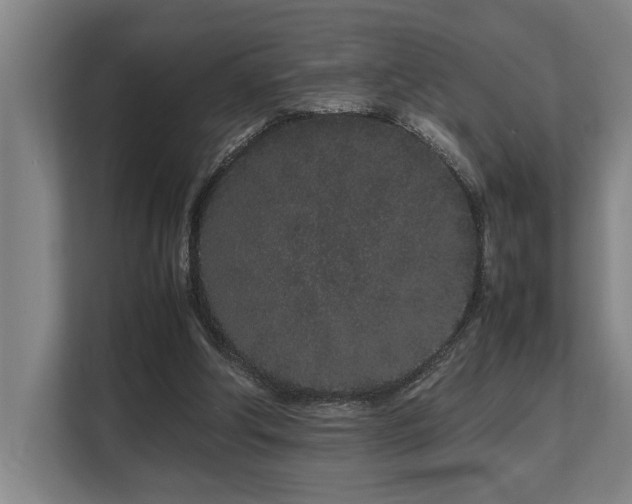 X0000108480202200904031436