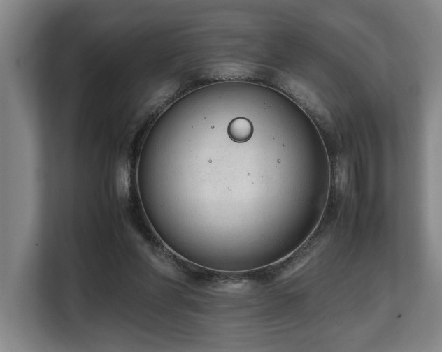 X0000108480206200904031436