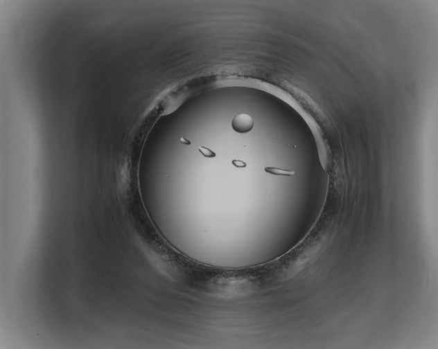 X0000108480208200904031436