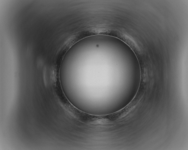 X0000108480210200904031436
