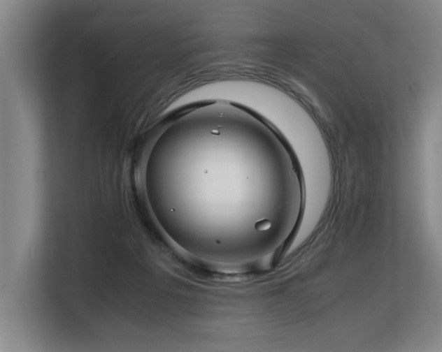 X0000108480217200904031436