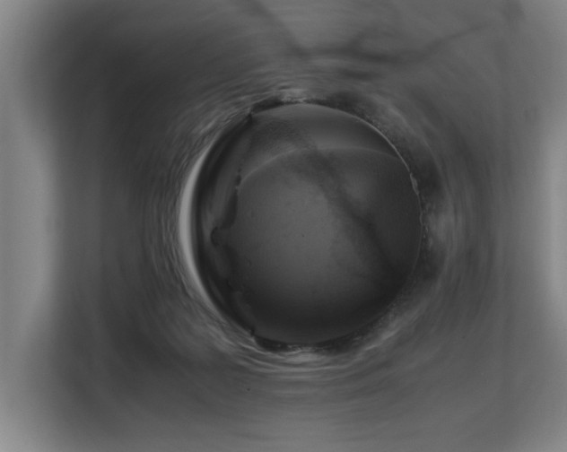 X0000108480219200904031436