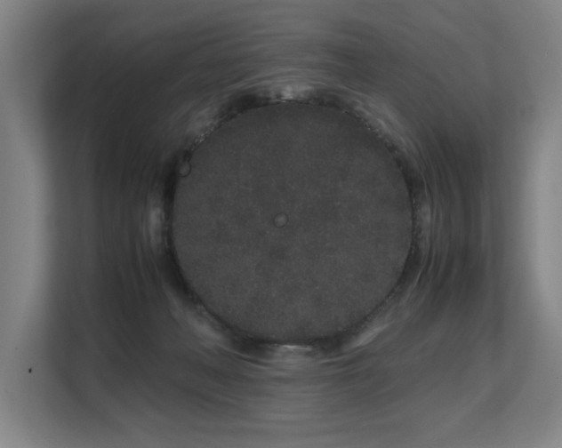X0000108480222200904031436