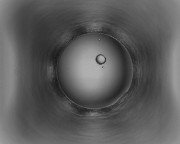 X0000108480224200904031436