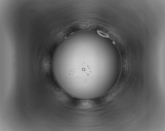 X0000108480226200904031436
