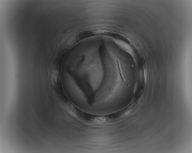 X0000108480227200904031436