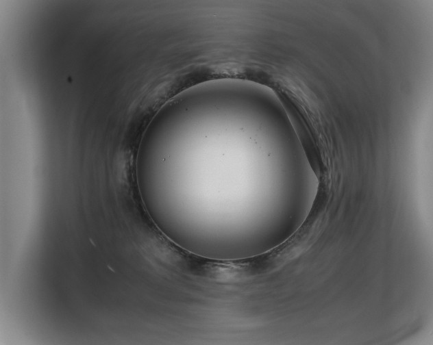 X0000108480229200904031436