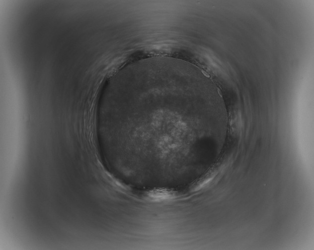 X0000108480231200904031436