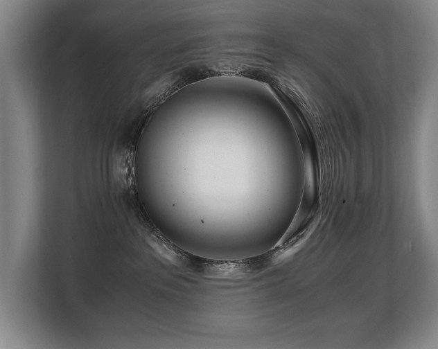 X0000108480237200904031436