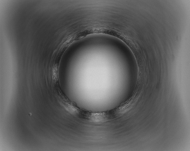 X0000108480240200904031436