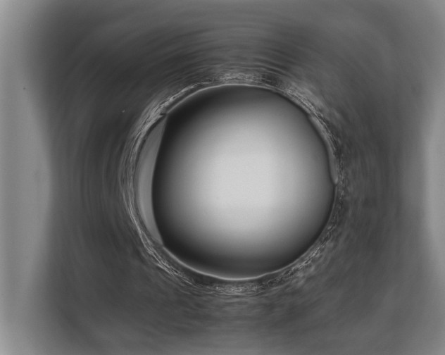 X0000108480241200904031435