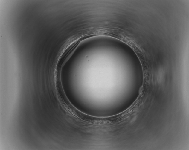 X0000108480242200904031435