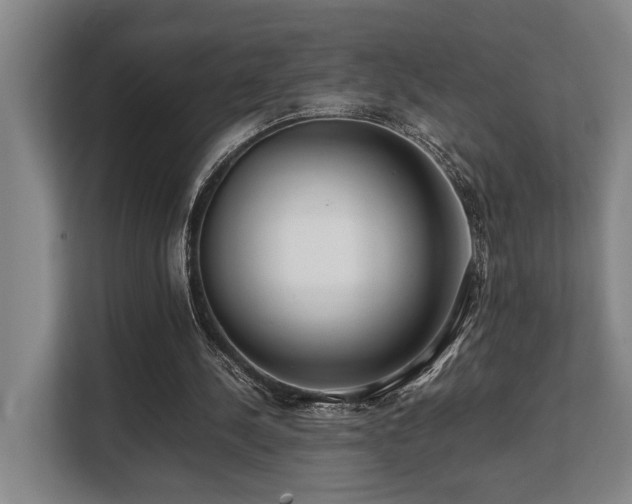X0000108480244200904031435