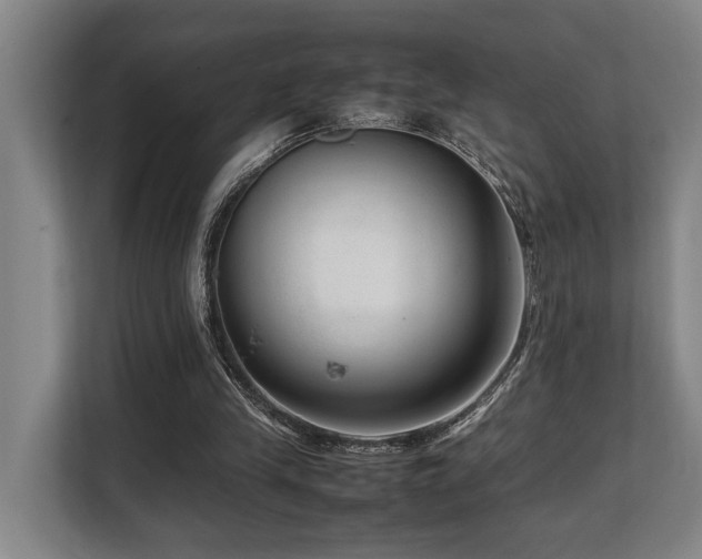X0000108480245200904031435