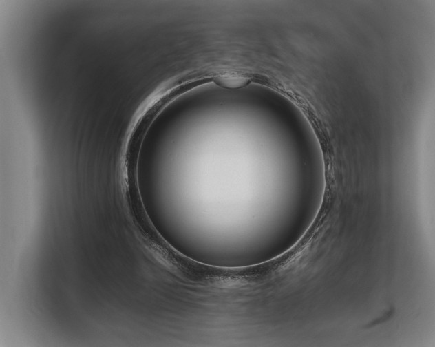 X0000108480246200904031435