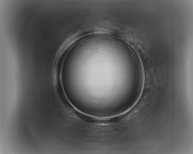 X0000108480247200904031435