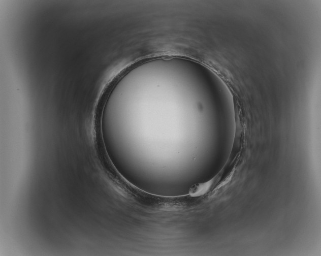 X0000108480248200904031435