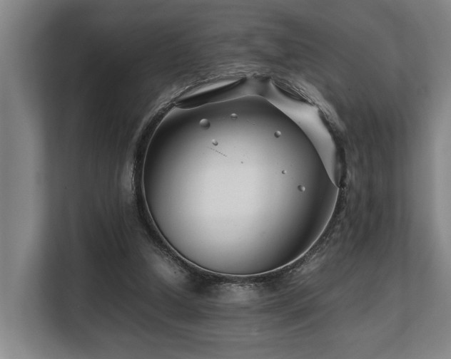 X0000108480250200904031435