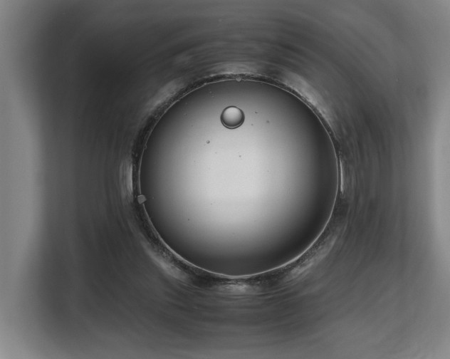X0000108480253200904031435