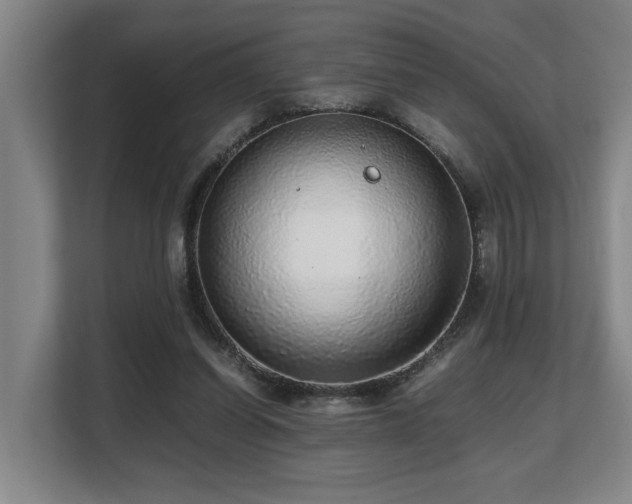 X0000108480254200904031435