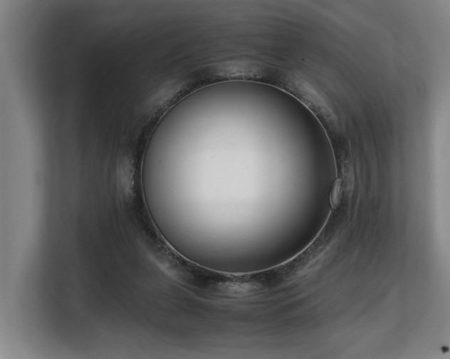 X0000108480255200904031435