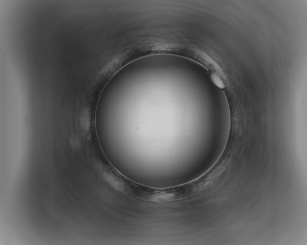 X0000108480257200904031435