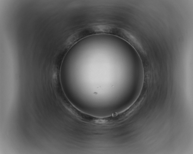 X0000108480265200904031435
