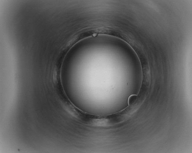 X0000108480266200904031435