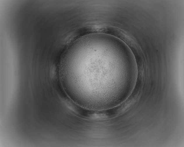 X0000108480270200904031436