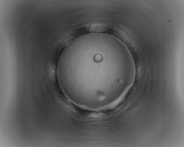 X0000108480271200904031436