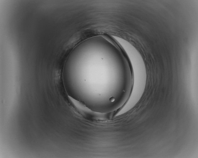 X0000108480278200904031436