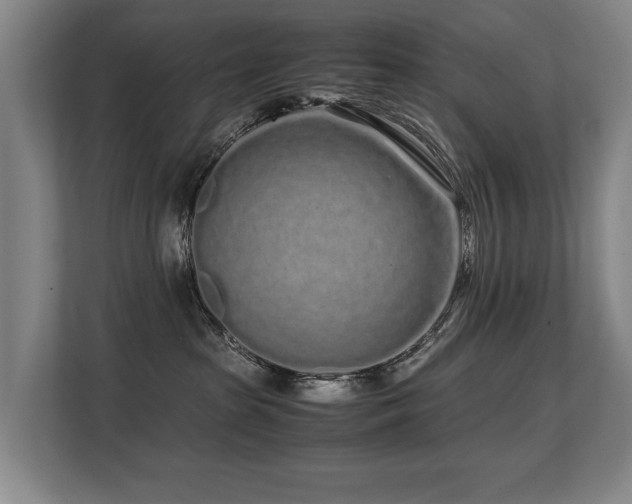 X0000108480285200904031436