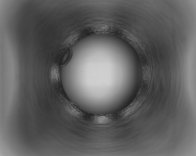 X0000108480287200904031436