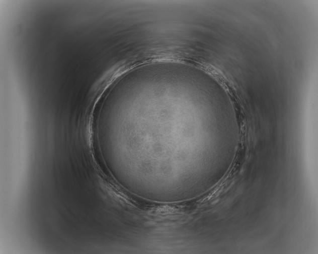 X0000108480290200904031435