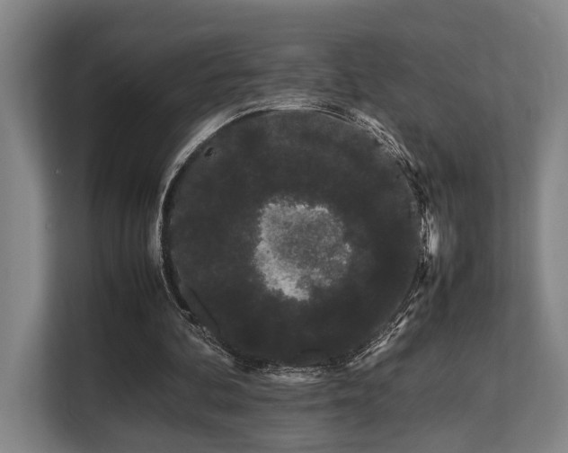 X0000108480292200904031435