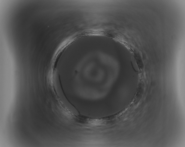 X0000108480293200904031435