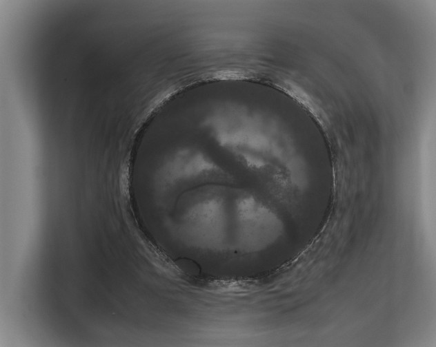 X0000108480297200904031435