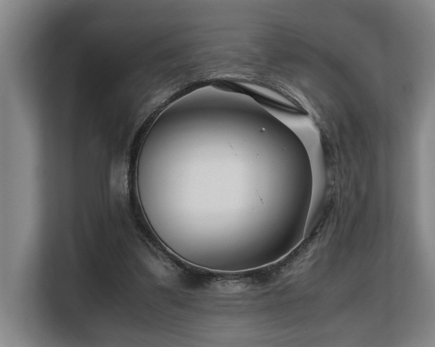 X0000108480299200904031435