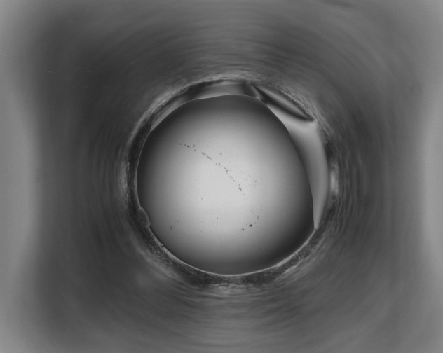 X0000108480300200904031435