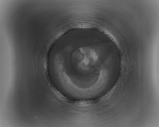 X0000108480305200904031435