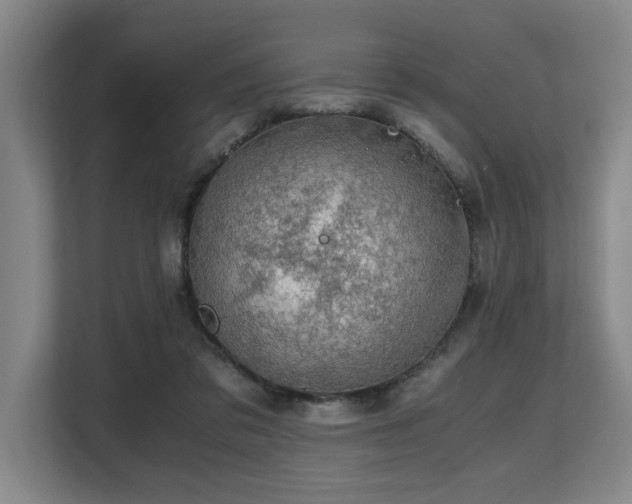 X0000108480309200904031435