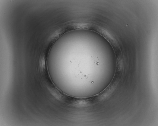 X0000108480310200904031435