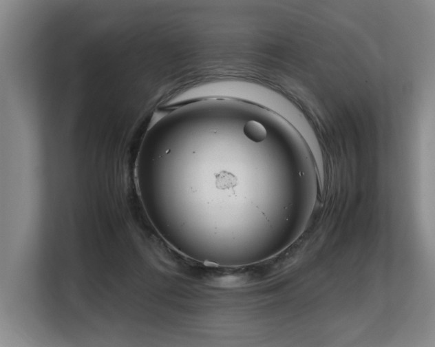 X0000108480312200904031435