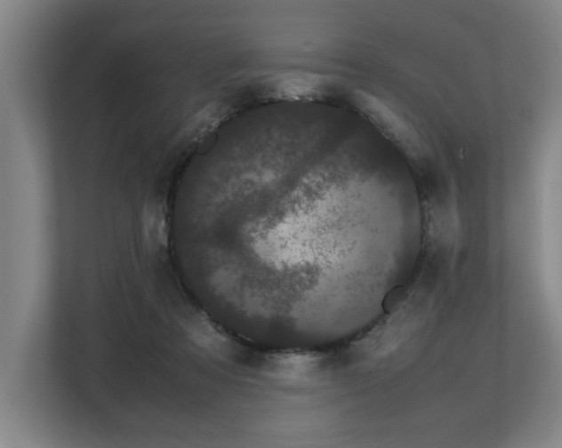 X0000108480313200904031435