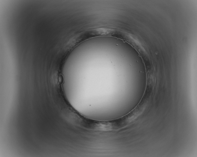 X0000108480317200904031435