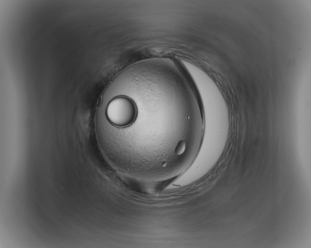 X0000108480319200904031435