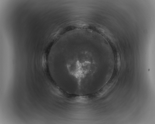 X0000108480320200904031435