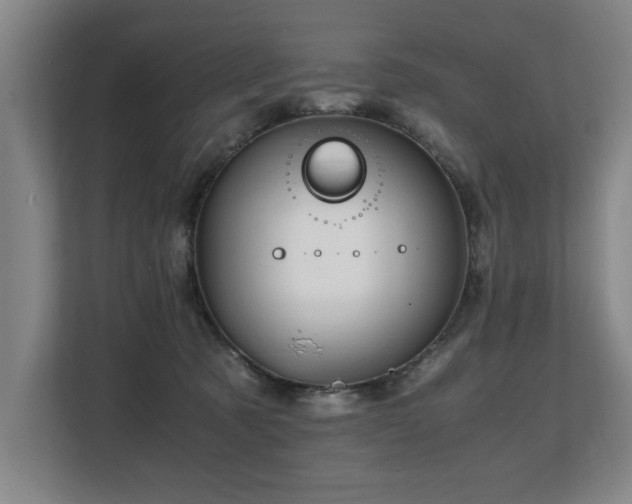 X0000108480321200904031435