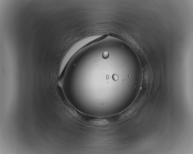 X0000108480322200904031435