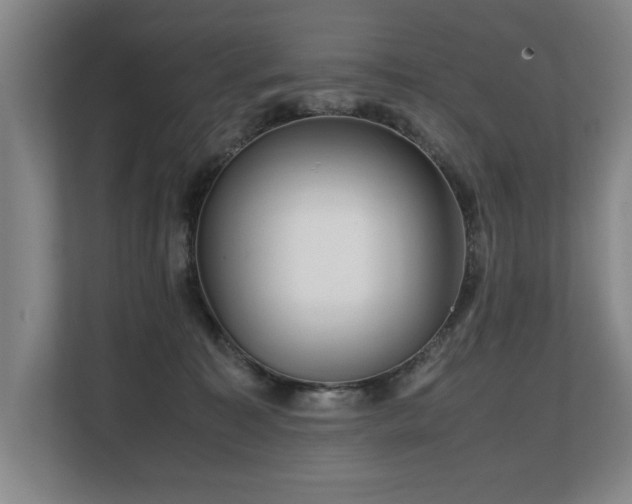 X0000108480323200904031435